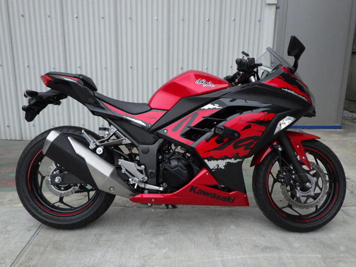 Ninja250
