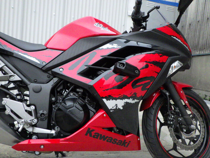 Ninja250