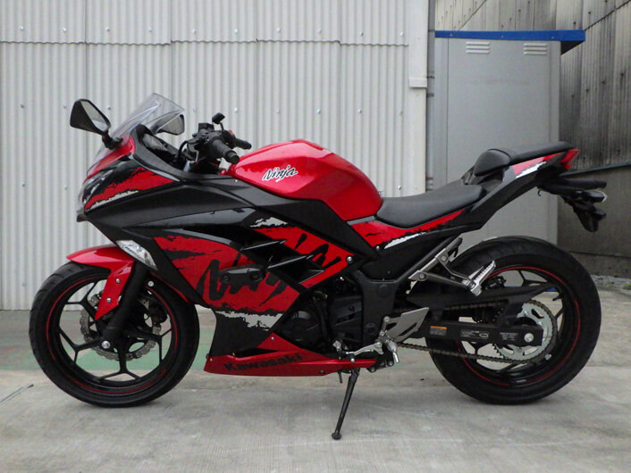 Ninja250