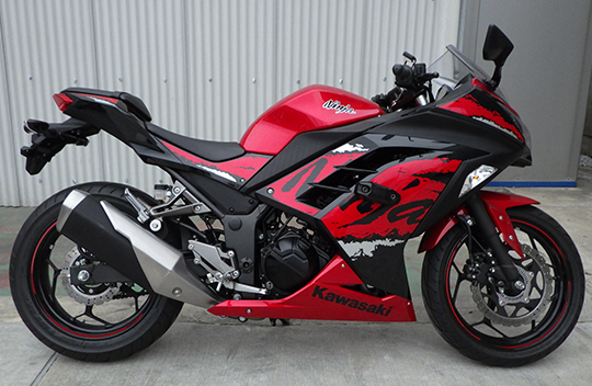 Ninja250