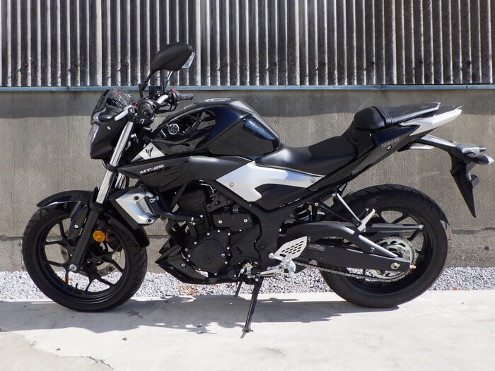 MT-25