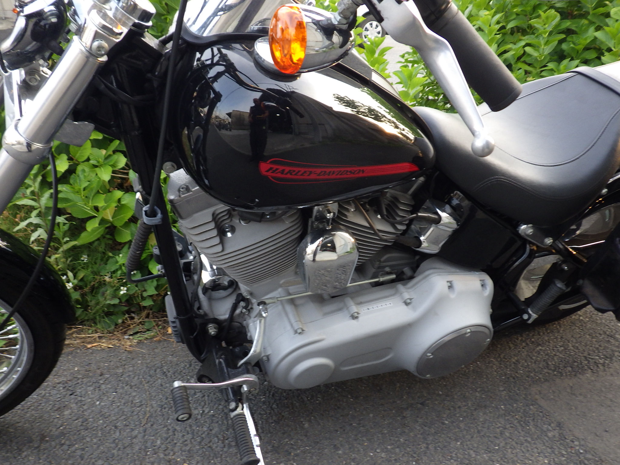 harleydavidson_flst_softailstandard_bv5 買取査定事例