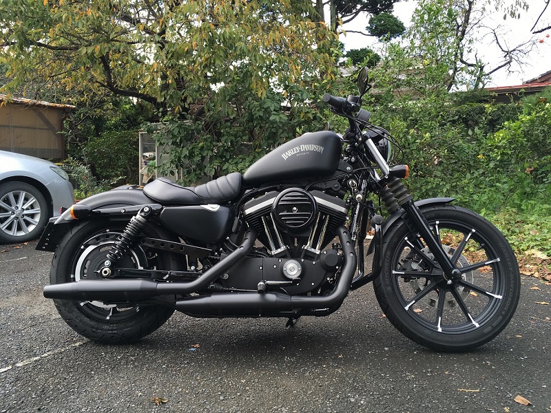 harleydavidson_sportster_xl883_iron_le2