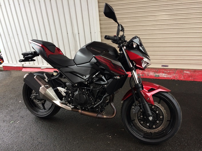 Z250 EX250P