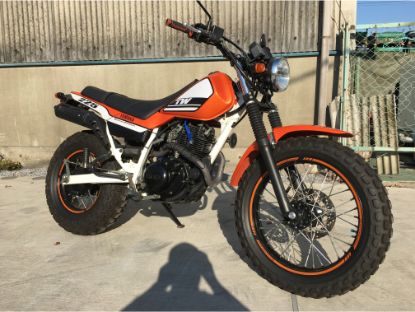 yamaha-tw225e-dg09j 買取査定事例